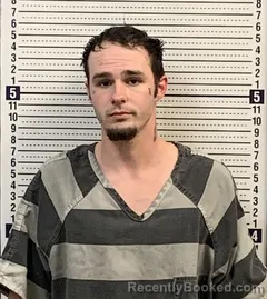 Mugshot of CHRISTIAN JOHNSON