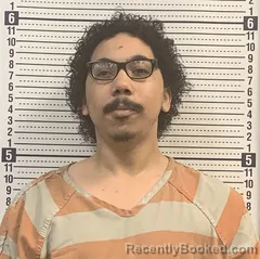 Mugshot of JONATHAN WRIGHT