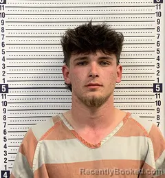 Mugshot of AUSTIN LYLES