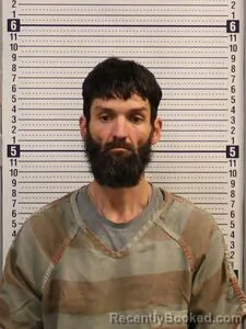 Mugshot of RICHARD STRONG