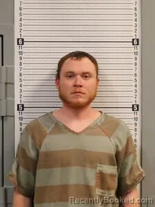 Mugshot of DYLAN WISEMAN