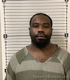 Mugshot of LEVELLE AYERS booked in Greene County, Arkansas on March 10, 2026