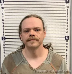 Mugshot of ANDREW STEVENS