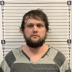 Mugshot of LAYTON DAVIS