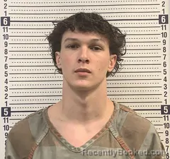 Mugshot of LANDYN PHILLIPS
