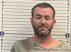 Mugshot of SHANNON REESE booked in Greene County, Arkansas on March 17, 2026