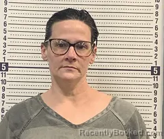 Mugshot of SHAUNA STAMPLEY