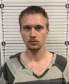 Mugshot of BRYSON NELSON booked in Greene County, Arkansas on March 20, 2026