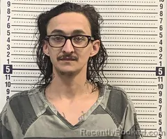 Mugshot of TIMOTHY LEONARD booked in Greene County, Arkansas on March 24, 2026