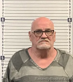 Mugshot of CALVIN HOLLINGSWORTH booked in Greene County, Arkansas on March 24, 2026