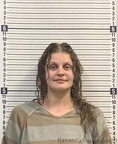 Mugshot of KAYLEA BARNES booked in Greene County, Arkansas on March 28, 2026