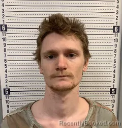 Mugshot of ZACHARY LEE booked in Greene County, Arkansas on March 29, 2026