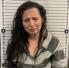 Mugshot of SHANNON HERRON booked in Greene County, Arkansas on March 31, 2026