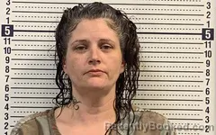 Mugshot of RENA VINES booked in Greene County, Arkansas on March 31, 2026