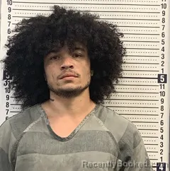 Mugshot of ADRIAN DRIVER booked in Greene County, Arkansas on April 1, 2026