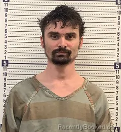 Mugshot of TAYLOR JACOBS booked in Greene County, Arkansas on April 1, 2026