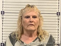 Mugshot of JESSICA AUSTIN booked in Greene County, Arkansas on April 2, 2026