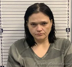 Mugshot of BRENDA WILLIAMS booked in Greene County, Arkansas on April 3, 2026