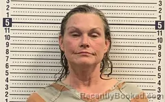 Mugshot of STACY PATTILLO booked in Greene County, Arkansas on April 4, 2026