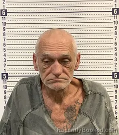 Mugshot of RANDY WRIGHT booked in Greene County, Arkansas on April 24, 2026