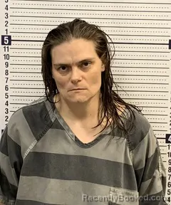 Mugshot of ELIZABETH MORGAN booked in Greene County, Arkansas on May 9, 2026