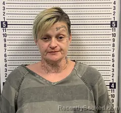 Mugshot of KRYSTAL TEDDER booked in Greene County, Arkansas on May 12, 2026
