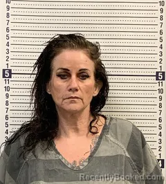 Mugshot of SHAWNA LONG booked in Greene County, Arkansas on May 14, 2026