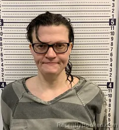 Mugshot of JAMI LAIRE booked in Greene County, Arkansas on May 18, 2026