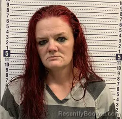 Mugshot of JENNIFER WILSON booked in Greene County, Arkansas on May 20, 2026