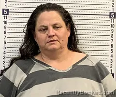 Mugshot of CHRISTINE EFFINGER booked in Greene County, Arkansas on May 23, 2026
