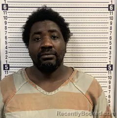 Mugshot of DEVANTE DAVISON booked in Greene County, Arkansas on May 25, 2026