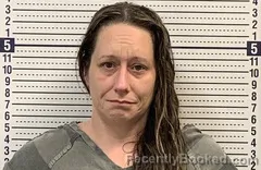 Mugshot of DAMETARIS PYLE booked in Greene County, Arkansas on May 26, 2026