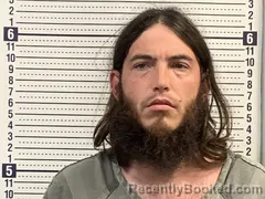 Booking photo from Greene County, Arkansas