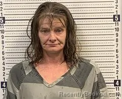 Mugshot of MELISSA WILSON booked in Greene County, Arkansas on June 4, 2026