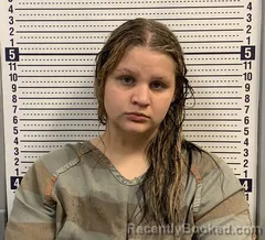 Mugshot of SHAELYNN NOTHERN booked in Greene County, Arkansas on June 4, 2026
