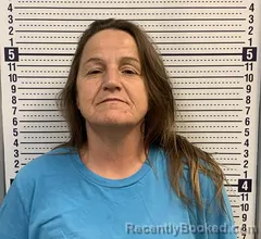 Mugshot of SHERRY WIDEMAN booked in Greene County, Arkansas on June 12, 2026