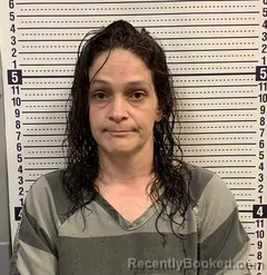 Mugshot of ASHLEY MCCOLLUM booked in Greene County, Arkansas on June 12, 2026