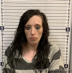 Mugshot of SHALENA BRANHAM booked in Greene County, Arkansas on June 13, 2026