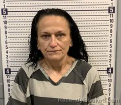 Mugshot of LINDA COLE booked in Greene County, Arkansas on June 15, 2026