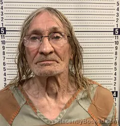 Mugshot of JAMES BURRIS booked in Greene County, Arkansas on June 15, 2026
