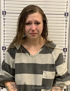 Mugshot of ALEXANDRA HILL booked in Greene County, Arkansas on June 15, 2026