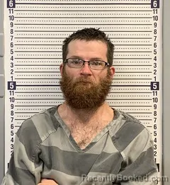 Mugshot of ERIC WILSON booked in Greene County, Arkansas on June 15, 2026