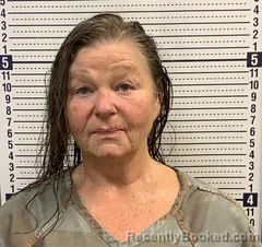 Mugshot of SHELLY HARDIN booked in Greene County, Arkansas on June 19, 2026