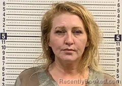 Mugshot of CRYSTAL PALMER booked in Greene County, Arkansas on June 24, 2026