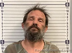 Mugshot of NATHAN PALMER booked in Greene County, Arkansas on June 24, 2026