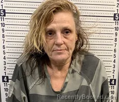 Mugshot of LISA EASLEY booked in Greene County, Arkansas on June 24, 2026
