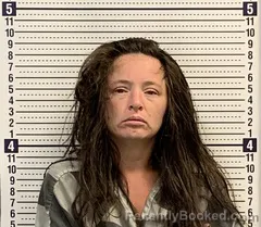 Mugshot of SHANNON HERRON booked in Greene County, Arkansas on June 24, 2026