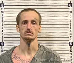 Mugshot of ZACKERY GOODSON booked in Greene County, Arkansas on June 24, 2026