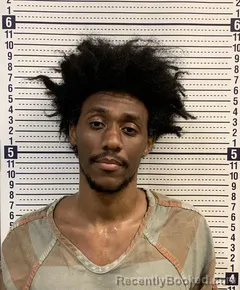 Mugshot of JERRION PARKER booked in Greene County, Arkansas on June 25, 2026