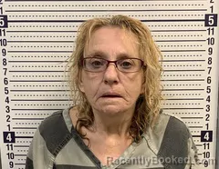 Mugshot of LESSIE BRITT booked in Greene County, Arkansas on June 29, 2026